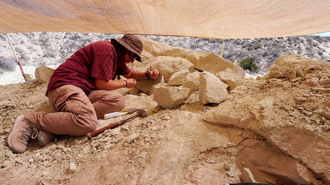 La técnica Ana Moreno Rodríguez buscando fósiles en la excavación de Paleoteius. Foto: gentileza investigadores.