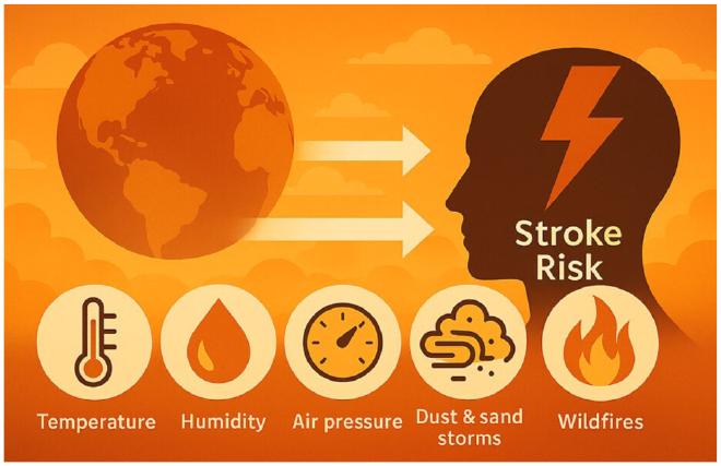Posibles factores de riesgo de ictus relacionados con el cambio climático. Crédito de la imagen: Anna Ranta et al.