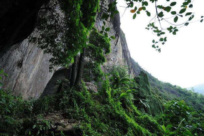Entrada a la cueva Fa-Hien Lena, uno de los sitios arqueológicos clave incluidos en este estudio, ubicado en un acantilado y con vista al entorno de selva tropical circundante. Crédito de la imagen: Oshan Wedage