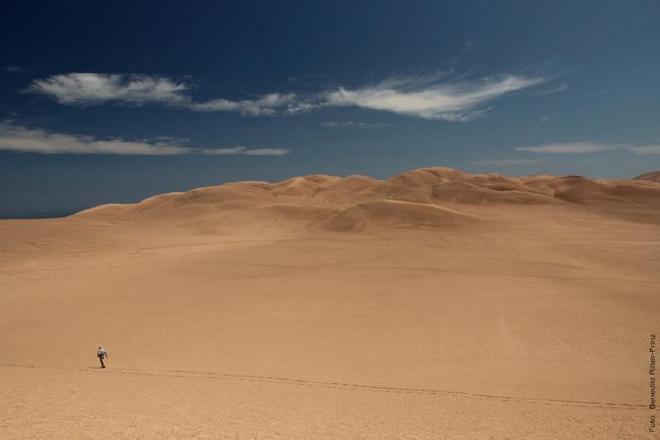 Imagen del Desierto de Atacama. Crédito de la imagen. Benedikt Ritter-Prinz | Universidad de Colonia