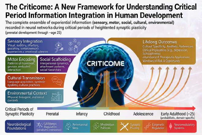 Criticome: The Window of Becoming. Five categories of experiential information (sensory, motor, social, cultural, environmental) become integrated into developing neural architecture during critical periods of synaptic plasticity, spanning prenatal development through approximately age 25. Image credit: Julio Licinio