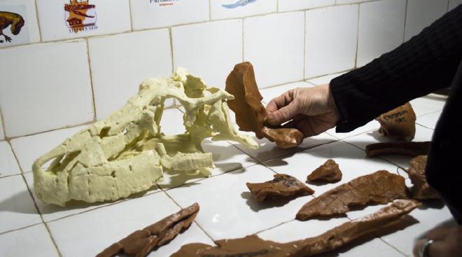 Pieces of the Shakajlura skull. Photo: CONICET Photography/R. Baridón.