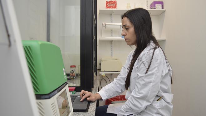 La correlación de estudios histológicos y técnicas de biología molecular dio indicios de una mejor maduración. Foto: CONICET Fotografía/R. Baridón.