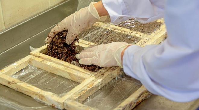 Assembly of test specimens in the laboratory. Photos: CONICET Mendoza