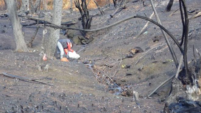 Stream after a fire in the Andean-Patagonian region of Chubut. Image credit: Assef et al..