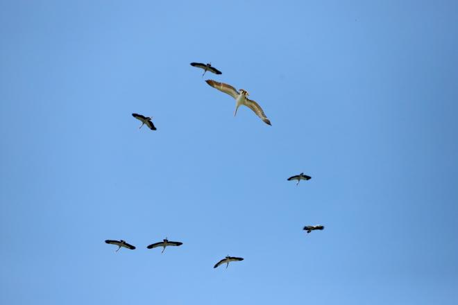 Imagen de Sharat G en Pexels.com