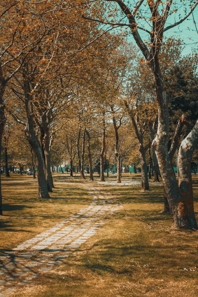 Imagen de Fatih en Pexels.com