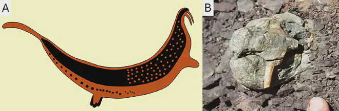 El animal con colmillos del panel de la Serpiente Cornuda comparado con el cráneo de un dicinodonte. A, el animal con colmillos del panel de la Serpiente Cornuda rediseñado por Stow and Bleek [13]. B, cráneo de un Diictodon feliceps (BP/1/8140, Jasfontein, distrito Victoria West) fotografiado por el autor in situ en el momento de su descubrimiento, antes de la excavación y sin preparación. Crédito de la imagen: Julien Benoit