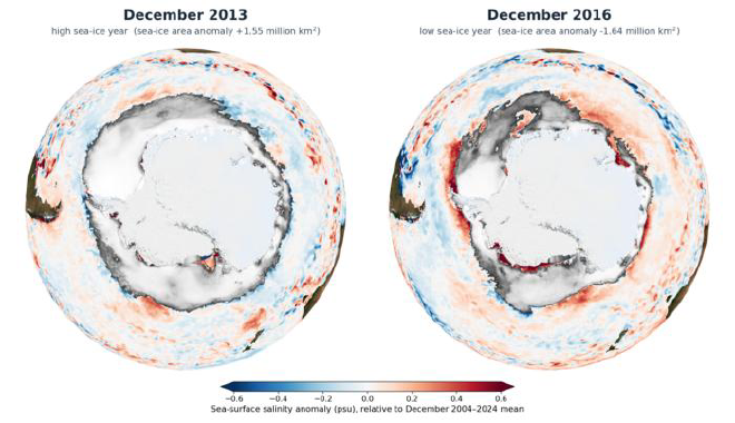 Los cambios en la salinidad de la superficie del mar tras la disminución del hielo marino en 2016. Crédito de la imagen: Kaushik Mishra