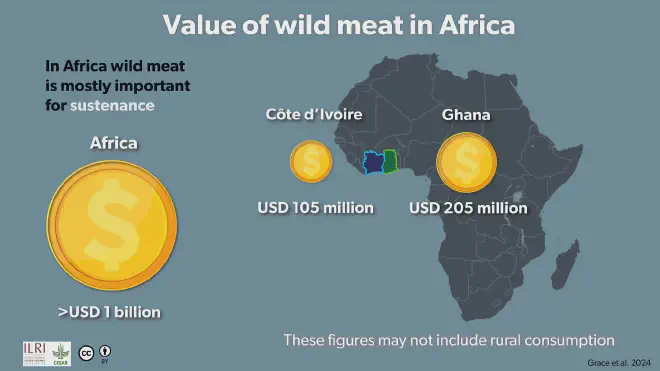 El valor -en millones de dólares estadounidenses- de la carne de animales silvestres en África, que no incluye el consumo proveniente de establecimientos rurales. Crédito: Grace et al. 2024