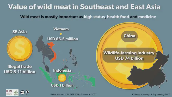 Los valores, en la venta ilegal en el sudeste asiático (entre 8 y 11 billones de dólares estadounidenses), y los 74 billones de dólares surgidos de la crianza de animales salvajes para consumo en granjas chinas. Crédito de la imagen: Felbab-Brown 2021; GEF 2019; Pham et al. 2021. Chinese Academy of Engineering 2017