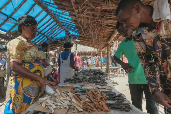 Carne de animales salvajes a la venta en el mercado semanal de Yangambi, República Democrática del Congo (crédito: Axel Fassio/CIFOR-ICRAF)