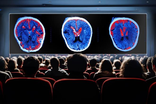 Mediante el análisis de escaneos cerebrales tomados mientras las personas veían clips de películas, los investigadores del MIT crearon el mapa más completo, hasta el momento, de las funciones de la corteza cerebral. Créditos: Christine Daniloff, MIT; Shutterstock