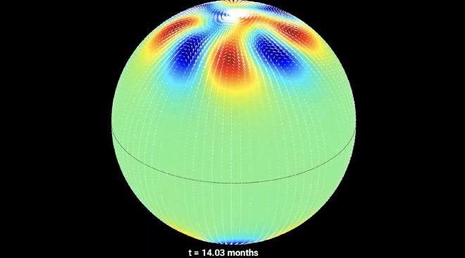 Esta imagen de una visualización muestra cómo se forman los vórtices polares de nuestra estrella, migran hacia los polos del Sol y luego desaparecen. Visualización: Mausumi Dikpati/NCAR