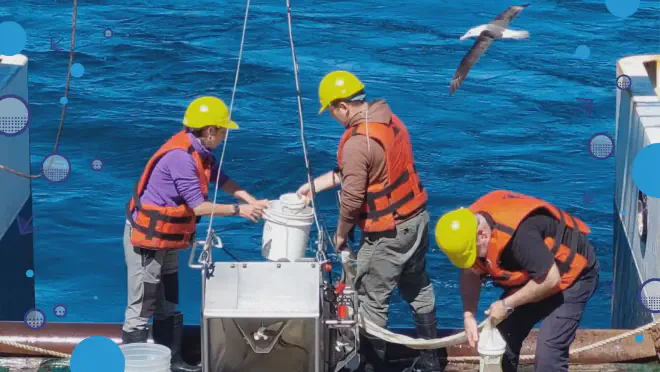Científicos manipulan una muestra de zooplancton