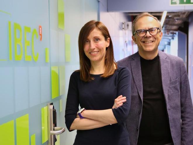 Anna Lagunas (izquierda) y Josep Samitier (derecha), en los laboratorios del IBEC. Crédito de la imagen: Instituto de Bioingeniería de Cataluña (IBEC)