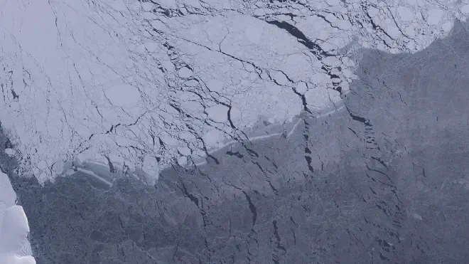 Los científicos están vigilando atentamente las plataformas de hielo de la Antártida, incluida la plataforma de hielo Filchner-Ronne, que se muestra aquí, debido a que se prevé su influencia futura en los niveles del mar y el clima. Crédito: Datos de observación cortesía del satélite Landsat 8 (Bandas: 2, 3, 4, 8) y USGS. Datos procesados ​​por Paul Quast. RESUMEN/Flickr, CC BY 2.0