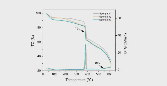 Curvas termogravimétricas (TG) y TG derivadas (DTG) de esponjas durante el calentamiento a 600 °C