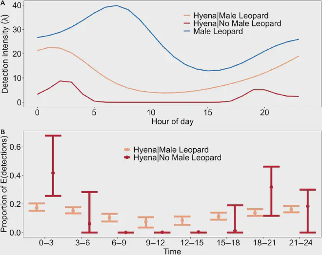 Patrones de actividad diaria de hienas y leopardos machos