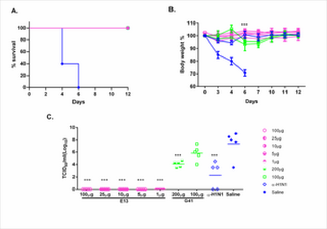 Dosis efectiva de E13 y G41