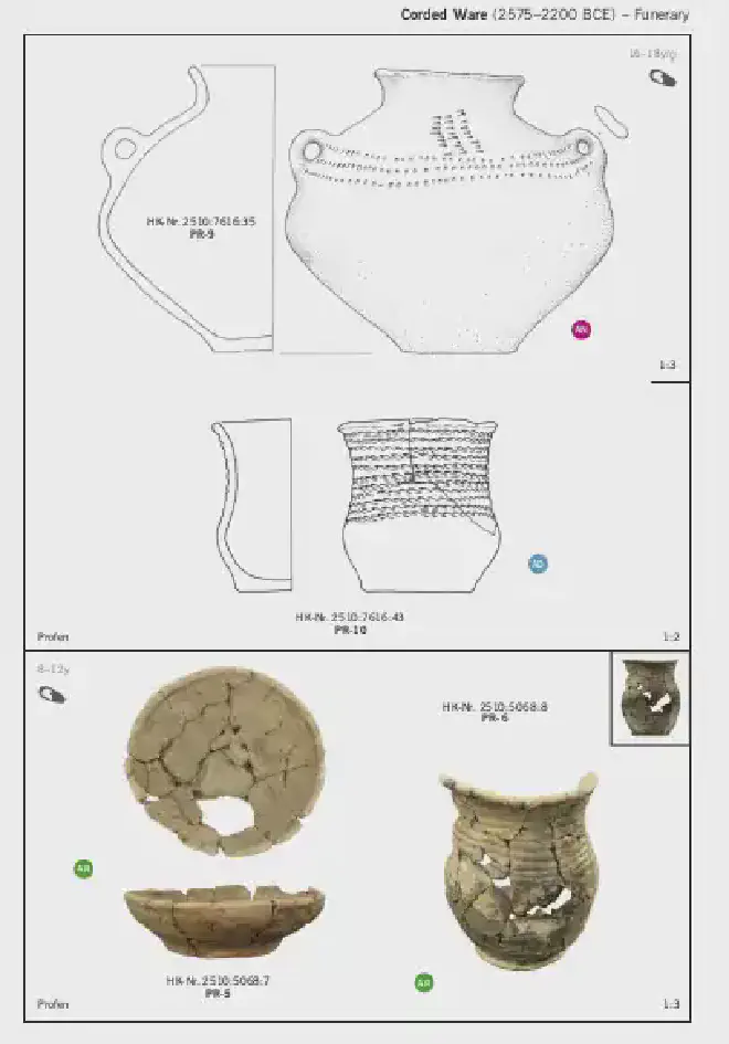 Cultura de la cerámica cordada (2575–2200 antes de Cristo) – Funerario. Joven mujer de 16-18 años