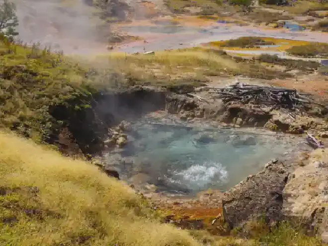 Científicos de la Universidad Estatal de Montana encontraron evidencia de que pequeños organismos que viven en el área hidrotermal del Parque Nacional Yellowstone producen metano