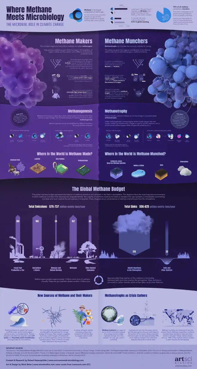 Infografía sobre el impacto de los microbios en el metano y el cambio climático