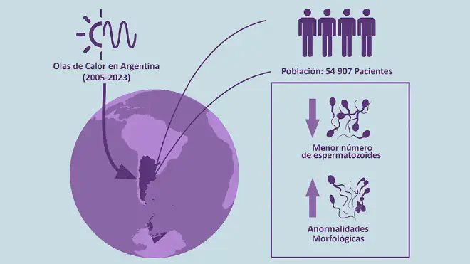 En el estudio se entrecruzaron datos de análisis de espermatozoides de cerca de 55 mil hombres en la Ciudad de Buenos Aires y del Servicio Meteorológico Nacional entre 2005 y 2023