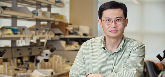 Shawn Xu, profesor de biología molecular e integradora en la Facultad de Medicina de la Universidad de Michigan